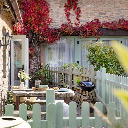 Daisy Cottage Paignton Εξωτερικό φωτογραφία