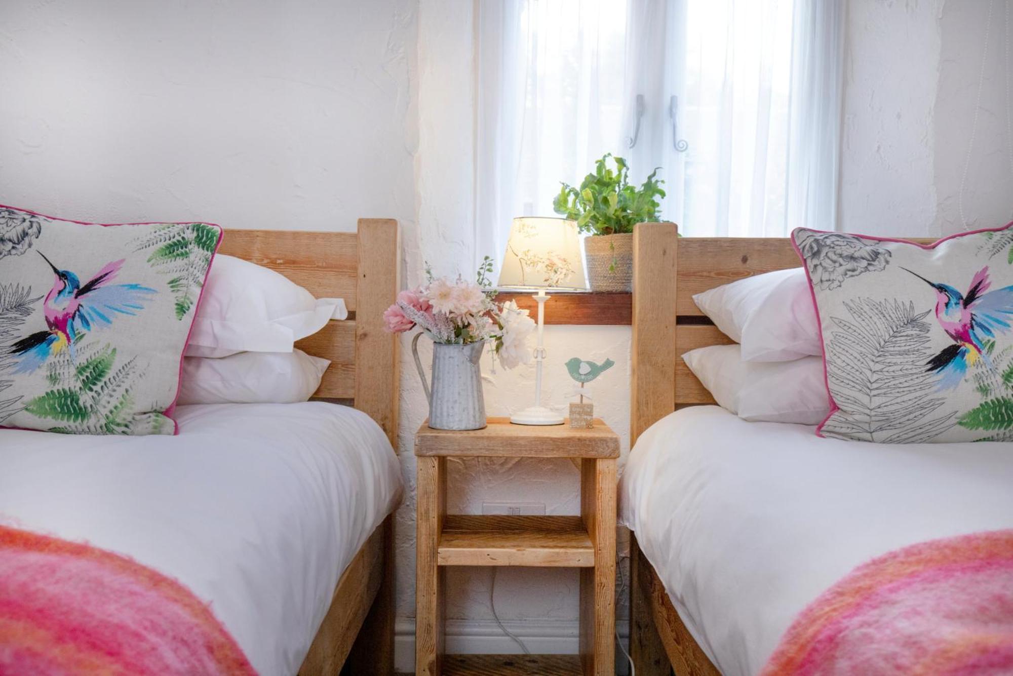 Daisy Cottage Paignton Εξωτερικό φωτογραφία