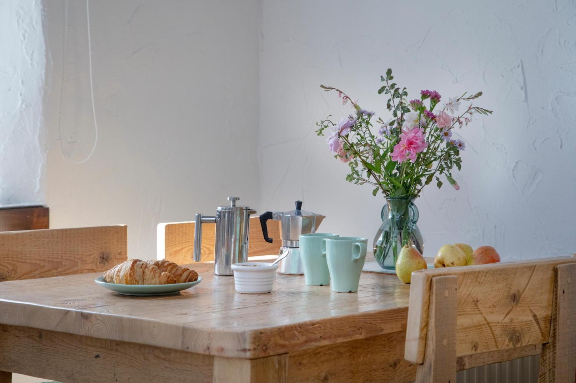 Daisy Cottage Paignton Εξωτερικό φωτογραφία